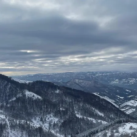 Daire Jigy Kop Kopaonik