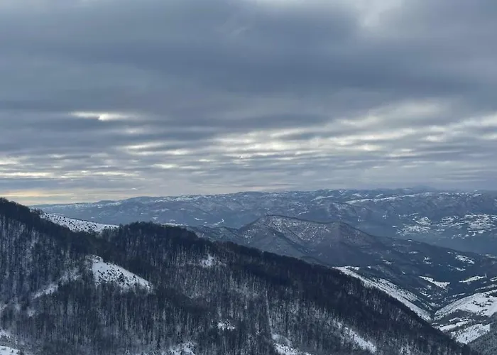 Apartment Jigy Kop Kopaonik